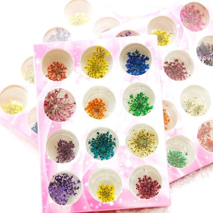 Dried Flowers 12 Colours Box - NSI Australia
