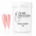 acrylic-powder-stardust-nail-success-powders-nsi-australia-1kg-900292