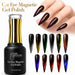 Nail Success Australia Cat Eye Magnetic Gel Polish with 11 magnetic shimmer shades, bottle, swatches, and stiletto nails
