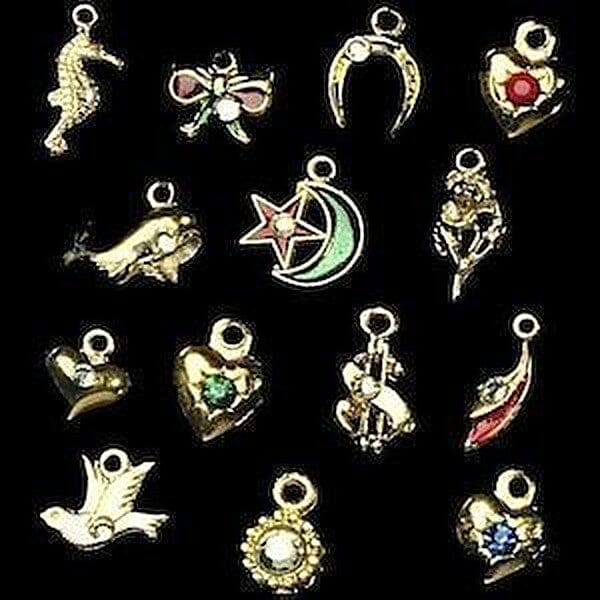 Dangle Charms + Rings attach (x2) - NSI Australia