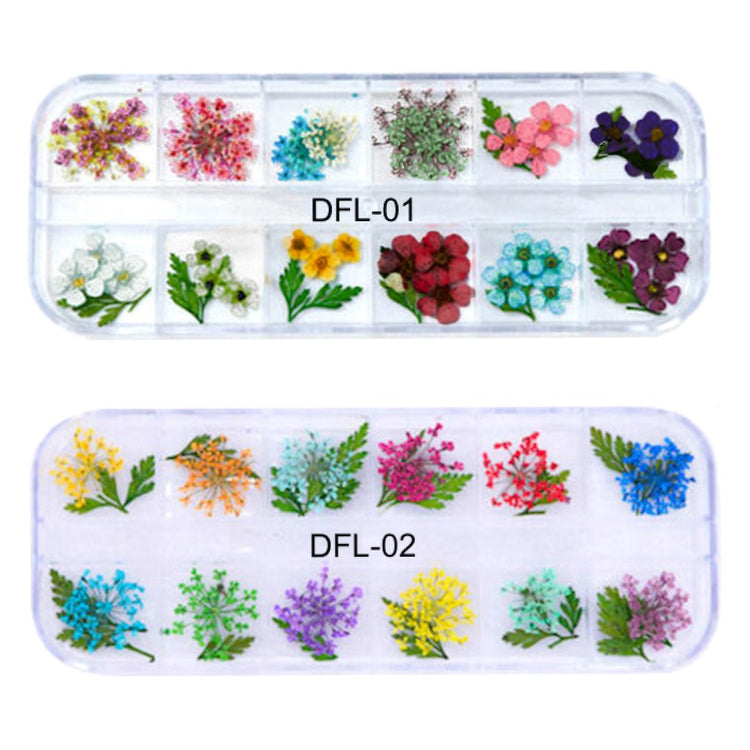 Dry Flowers Tray2 TRAYS DFL-01+02