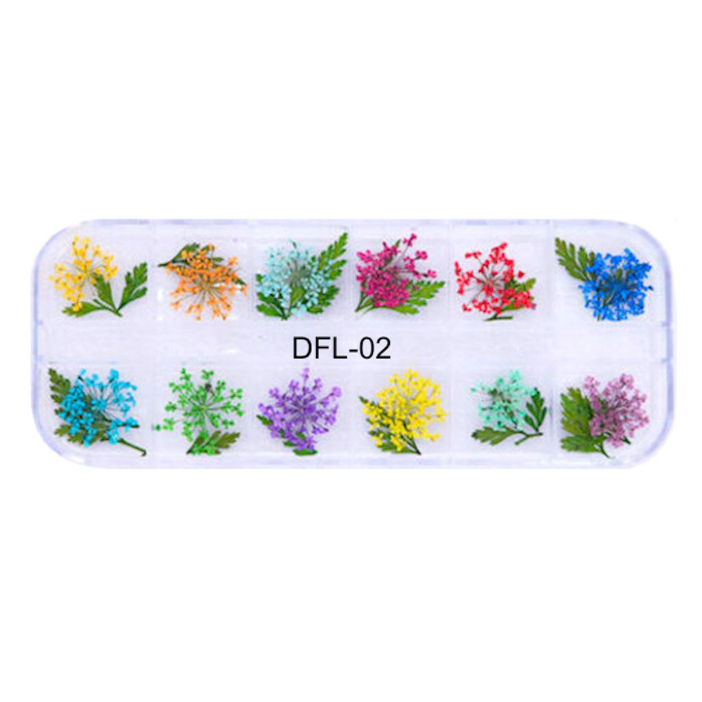 Dry Flowers Tray