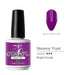 Gel Polish Colours NSI - NSI Australia