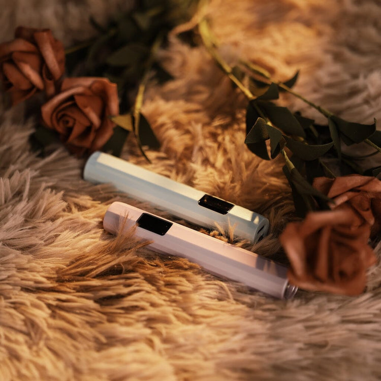USB-rechargeable LED nail flash-cure torch duo—sky-blue and lavender pen-style lamps with digital display, styled on faux fur with roses (Nail Success Australia)