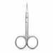 Stainless steel nail and cuticle scissors with curved precision blade and classic finger loop handles for detailed manicure trimming