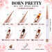 Born Pretty nail art brush size guide showing six options: two liners, two oval brushes, one ombré brush and one square brush.
