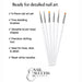 Nail Success Australia 6-piece nail art brush set with fine detailing brushes, dotting tool and sleek white handles for lines, dots and detailed nail designs
