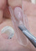 b2e1c998e907454089b4157a8a4ee66e.thumbnail.0000000000
