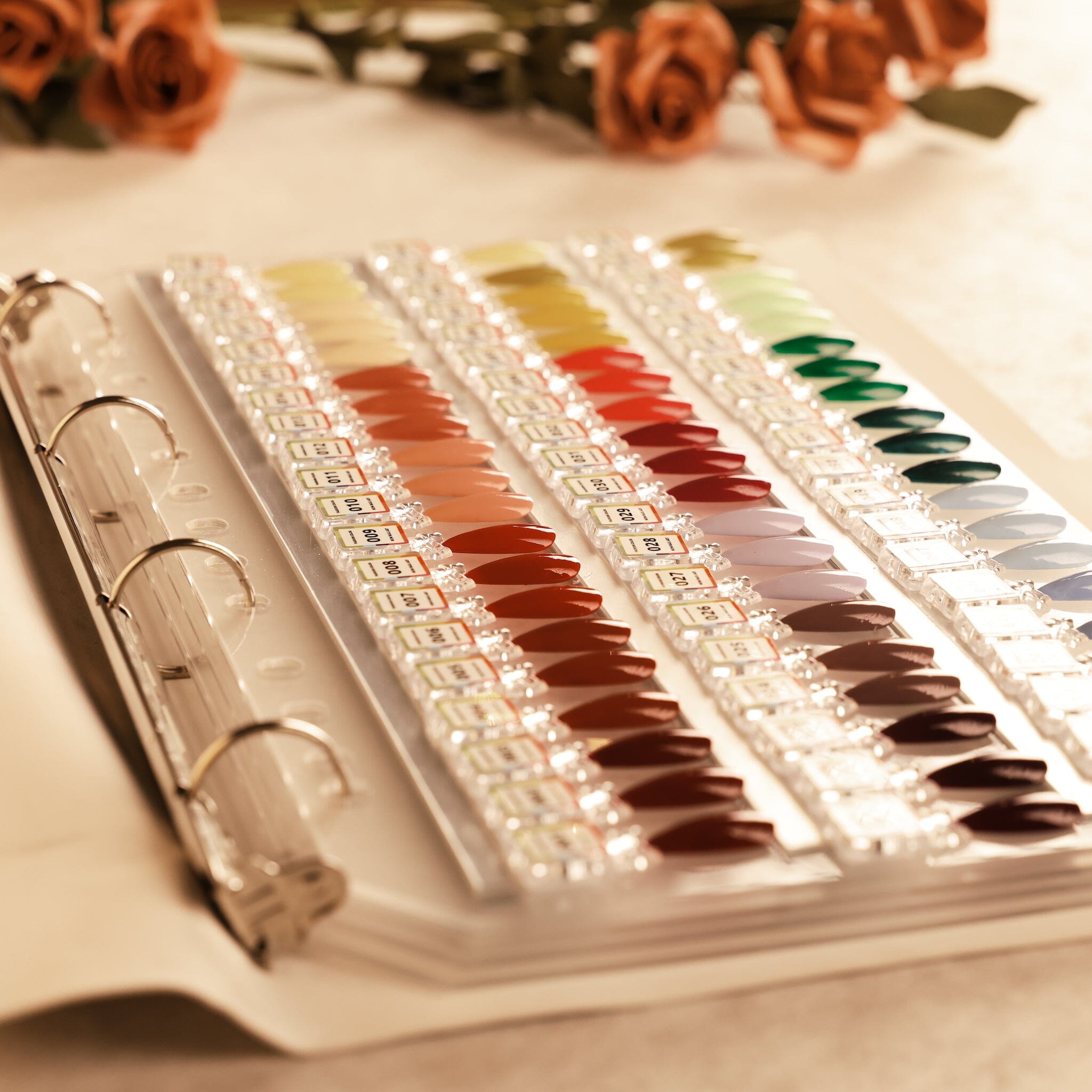 NSI Australia Pro Magnetic Swatch Colour Display Book — ring-binder pages with numbered gel polish colour swatches in rows