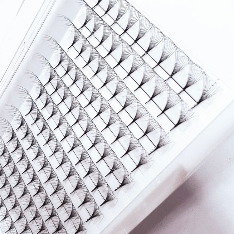 Monèt-Rose 10D Pro-Point D-curl 0.05 lash fans in white tray (close-up)