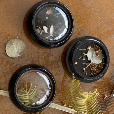 Black Small Jars with Clear Window Lid - Pack 2pcs - NSI Australia