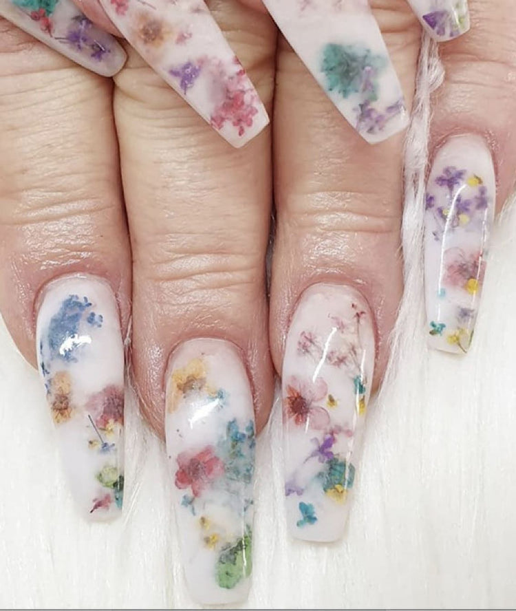 Dried Flowers 12 Colours Box - NSI Australia