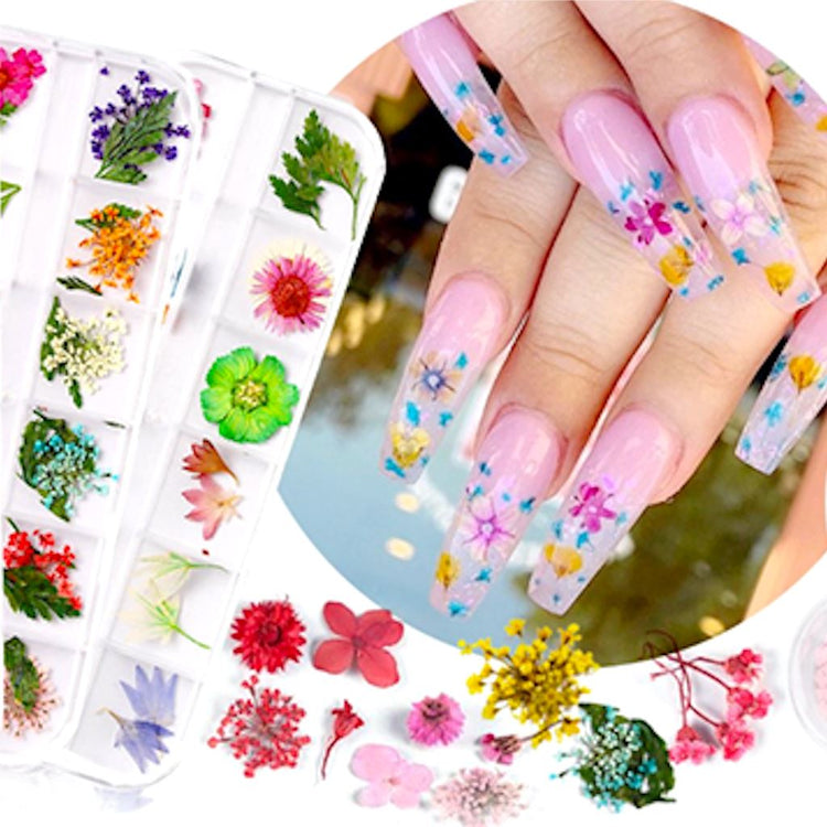 Dry Flowers Tray - NSI Australia