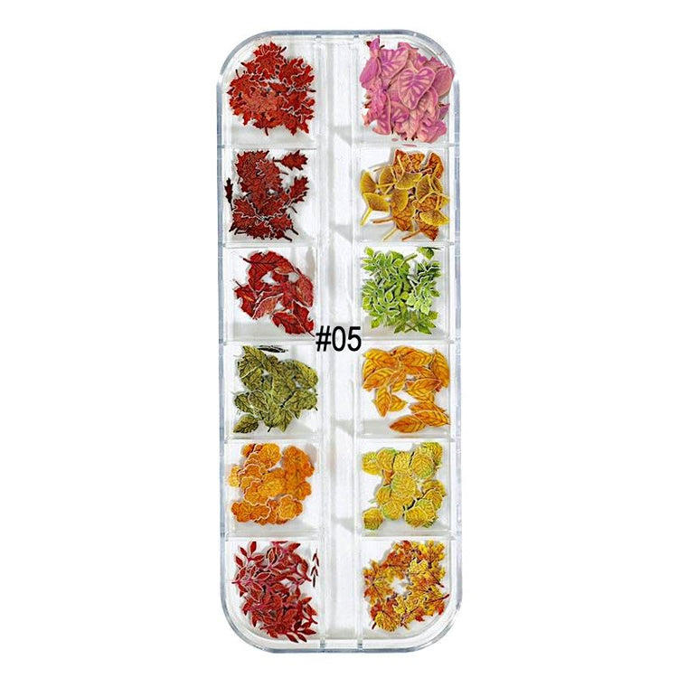 Mix Nail Art Decoration Flowers, Leaves and Butterflies Trays - NSI Australia