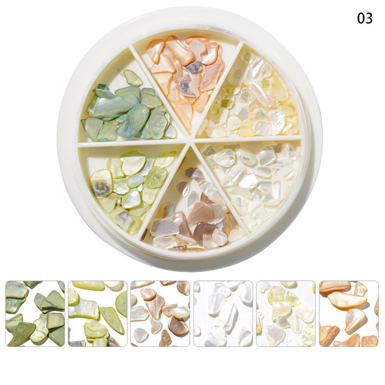 Mixed Shape Resin Shells Decoration Wheels - NSI Australia