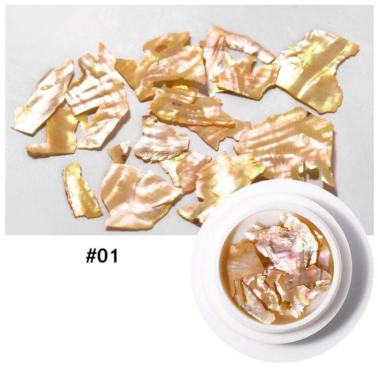 Natural Shell Slices Nail Art Decoration Jar - NSI Australia